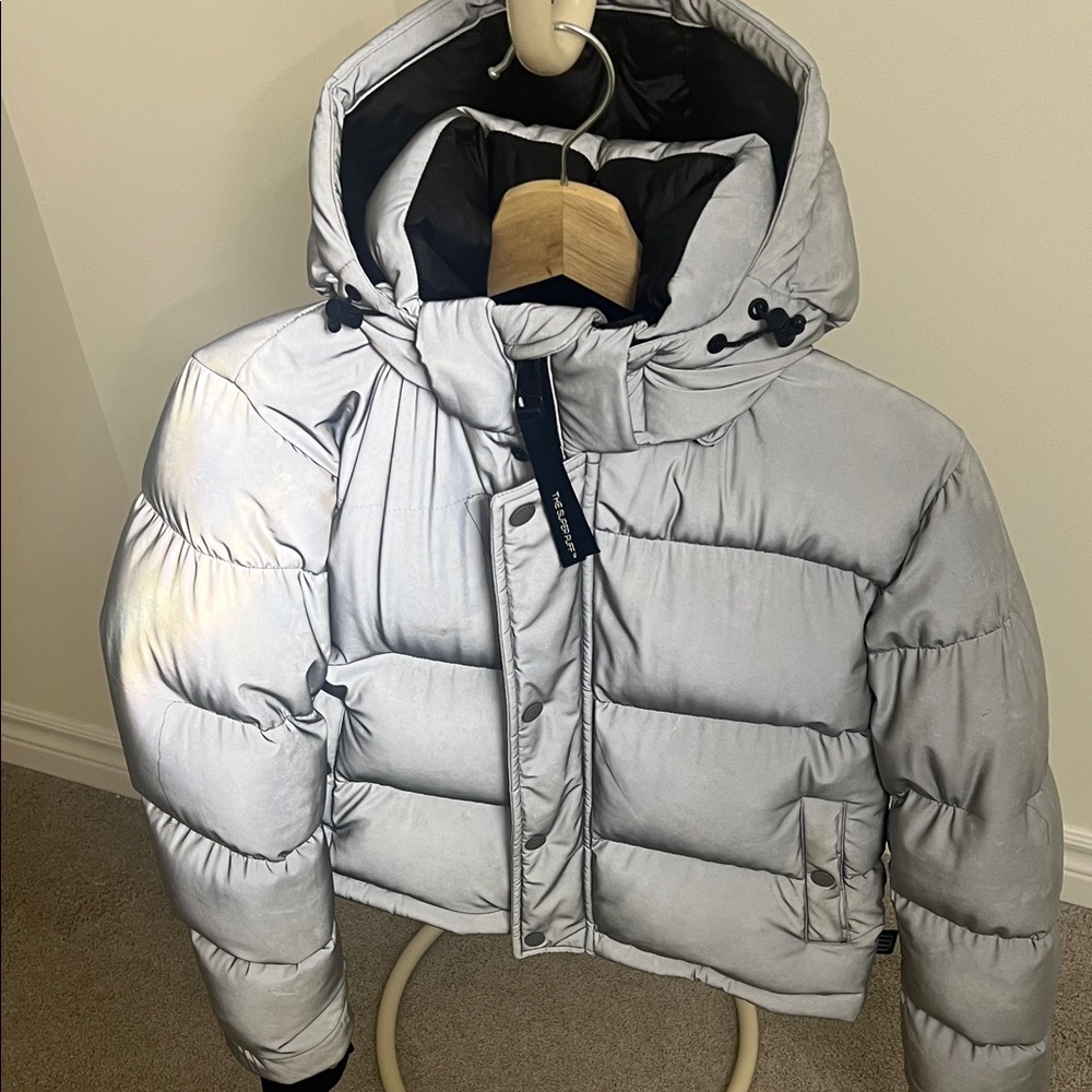 Aritzia Gray Reflective Super Puff Jacket - Picture 13 of 13